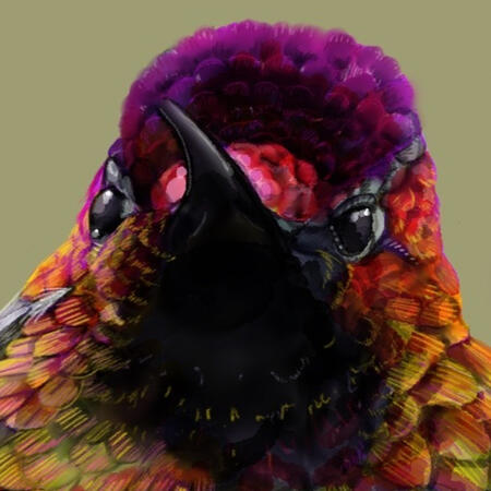 Ruby-throated hummingbird