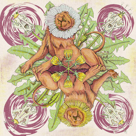 Dandelion wine