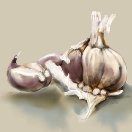 Garlic
