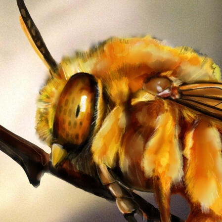 Teddybear Bee